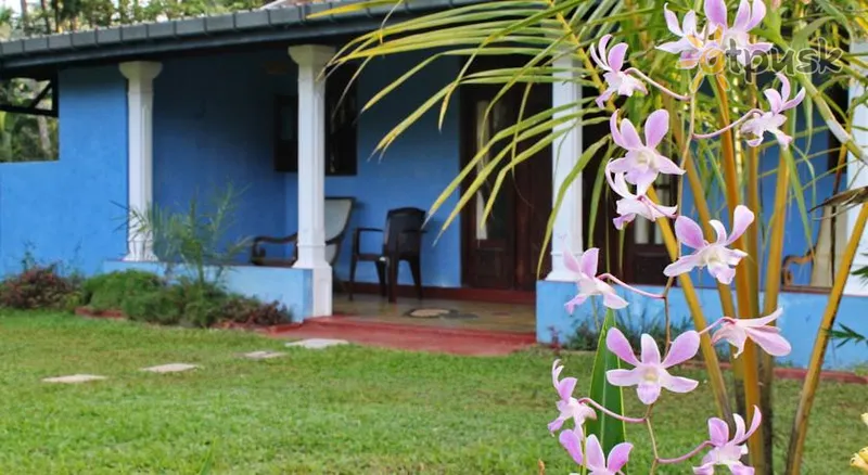 Фото отеля Mangrove Villa Ayurveda Resort 2* Бентота Шрі Ланка номери