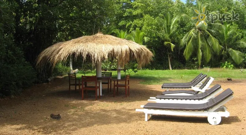 Фото отеля Mangrove Villa Ayurveda Resort 2* Bentota Šri Lanka išorė ir baseinai