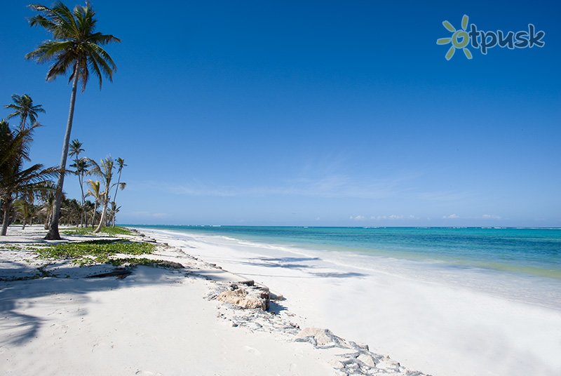 Фото отеля Baraza Resort & Spa 5* Донгве Танзанія пляж