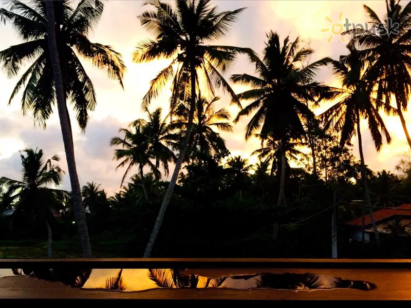 Фото отеля Good Life Unawatuna 2* Унаватуна Шрі Ланка екстер'єр та басейни
