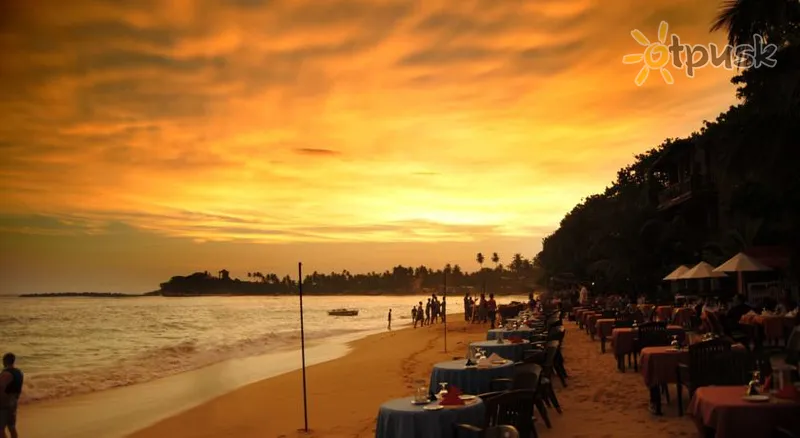 Фото отеля Tartaruga Hotel 4* Унаватуна Шри-Ланка пляж