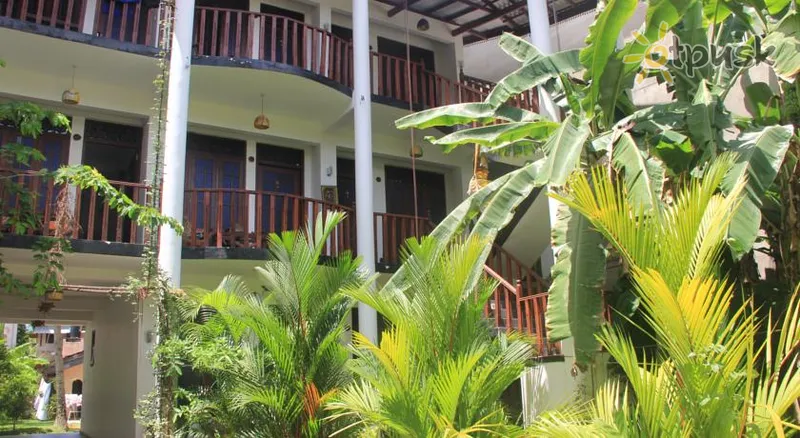Фото отеля Tropicana Unawatuna Guest House 2* Унаватуна Шри-Ланка номера