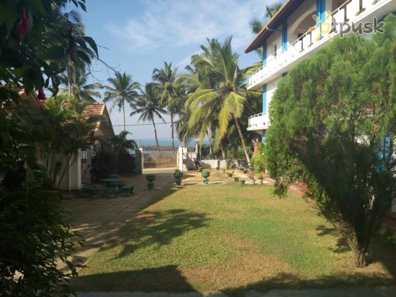 Фото отеля Shangrela Beach Resort 2* Ambalangoda Šri Lanka išorė ir baseinai