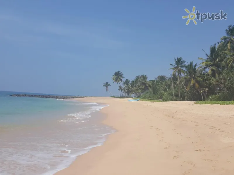 Фото отеля Shangrela Beach Resort 2* Амбалангода Шри-Ланка пляж