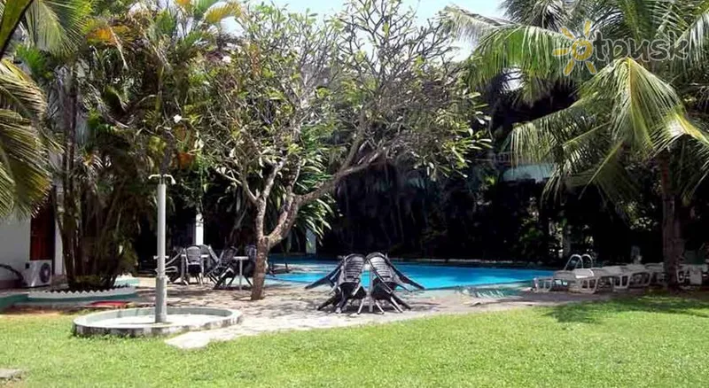 Фото отеля The White Haven Hotel 2* Ваддува Шрі Ланка екстер'єр та басейни