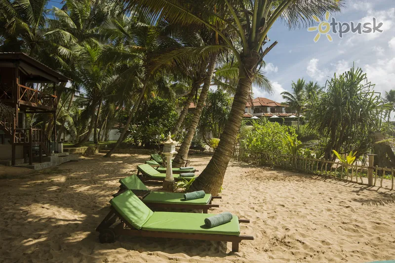 Фото отеля Rockside Beach Resort 3* Induruva Šri Lanka papludimys
