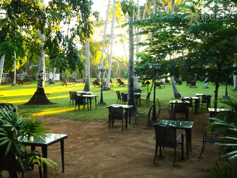 Фото отеля Surya Lanka Ayurveda Beach Resort 3* Матара Шри-Ланка бары и рестораны