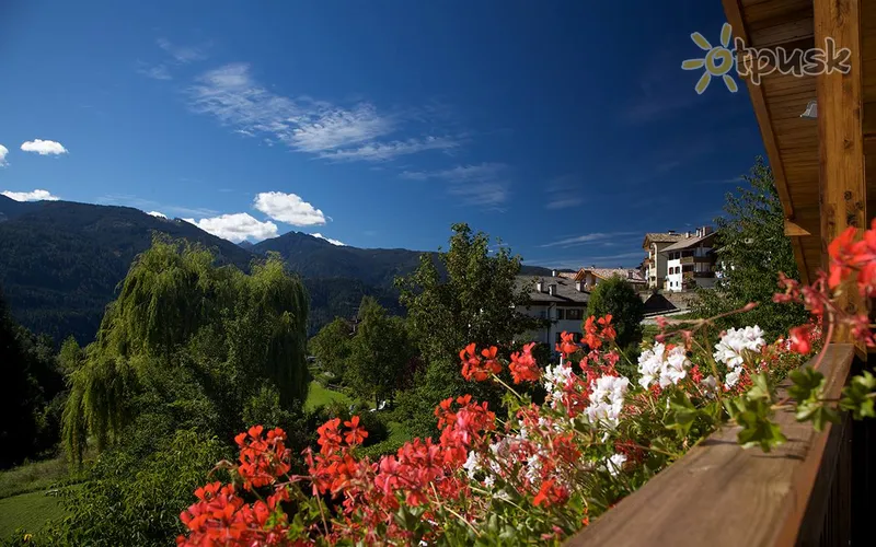 Фото отеля Albergo Bellaria 3* Val di Fiemme Itālija ārpuse un baseini
