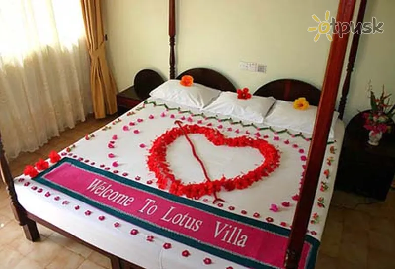 Фото отеля Lotus Villa 4* Ахунгалла Шри-Ланка номера
