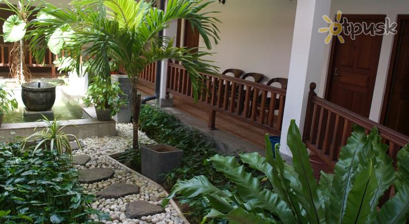Фото отеля Drifters Hotel 3* Хіккадува Шрі Ланка екстер'єр та басейни
