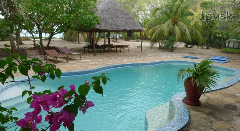 Фото отеля Bahari View Lodge 3* Jambiani Tanzānija ārpuse un baseini