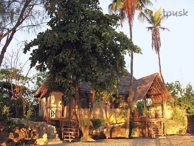 Фото отеля Bahari View Lodge 3* Jambiani Tanzanija išorė ir baseinai