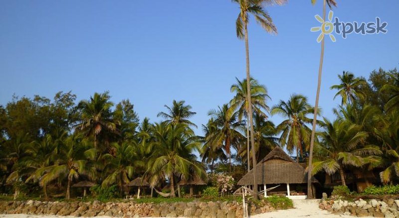 Фото отеля Paradise Beach Bungalows 3* Паже Танзания экстерьер и бассейны