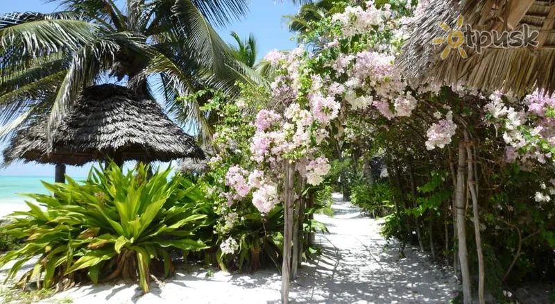 Фото отеля Paradise Beach Bungalows 3* Puslapis Tanzanija kita