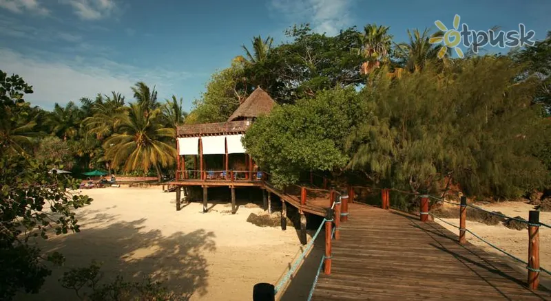 Фото отеля Jungle Paradise Beach Resort 4* Zanzibaro miestas Tanzanija papludimys