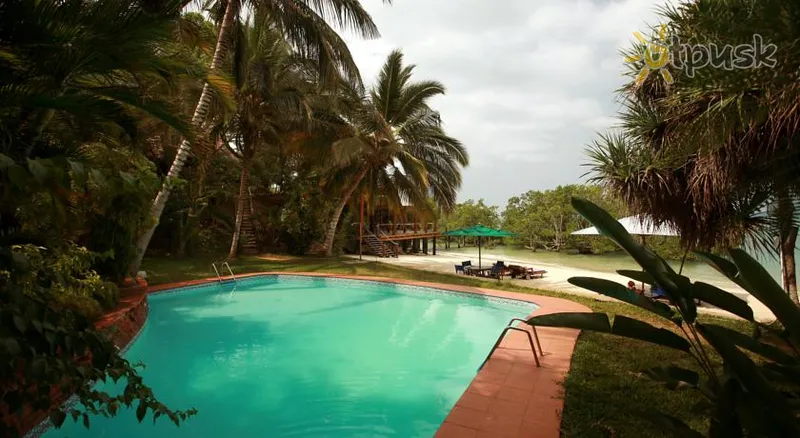Фото отеля Jungle Paradise Beach Resort 4* Занзібар – місто Танзанія екстер'єр та басейни