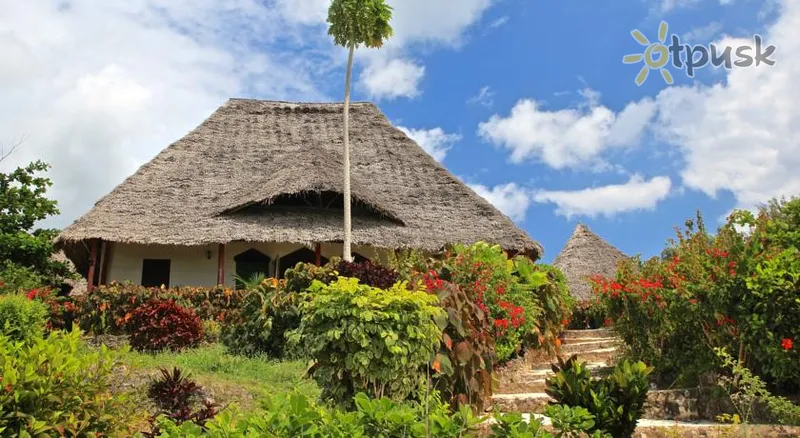 Фото отеля Sazani Beach Lodge 3* Нунгві Танзанія екстер'єр та басейни