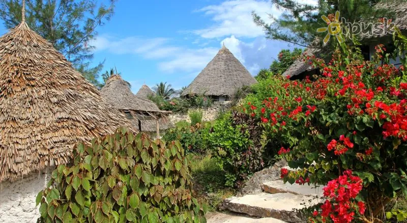 Фото отеля Sazani Beach Lodge 3* Нунгві Танзанія інше