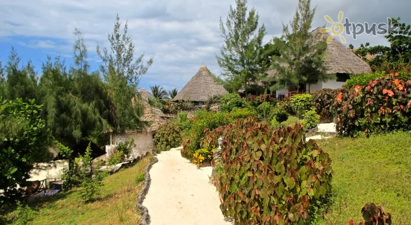 Фото отеля Sazani Beach Lodge 3* Нунгви Танзания прочее