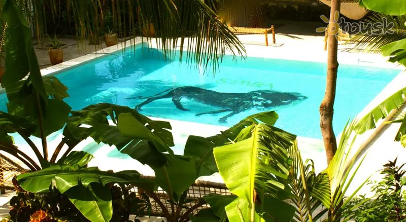 Фото отеля Simba Garden Lodge 3* Паже Танзанія екстер'єр та басейни