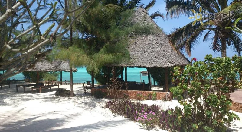 Фото отеля Tanzanite Beach Resort 3* Nungvi Tanzānija cits