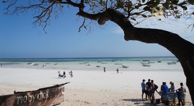 Фото отеля Twiga Beach Bungalows 3* Кизимкази Танзания пляж