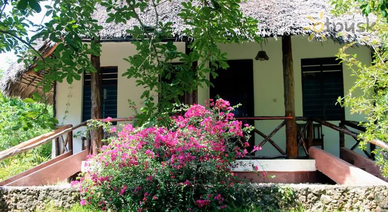 Фото отеля Mangrove Lodge 3* Zanzibāras pilsēta Tanzānija ārpuse un baseini