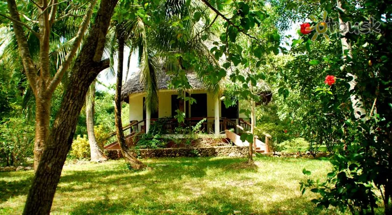 Фото отеля Mangrove Lodge 3* Zanzibaro miestas Tanzanija išorė ir baseinai