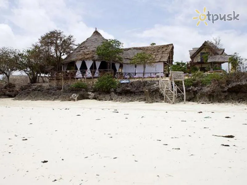 Фото отеля Zanzest Beach Bungalows 3* Джамбіані Танзанія екстер'єр та басейни