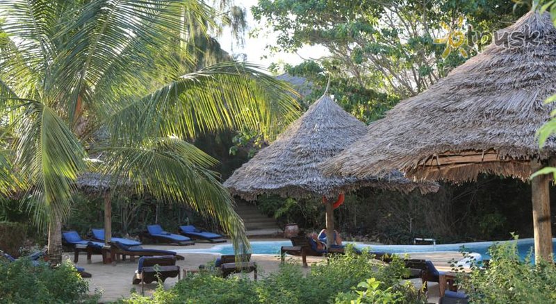 Фото отеля Unguja Lodge 4* Кизимкази Танзания экстерьер и бассейны