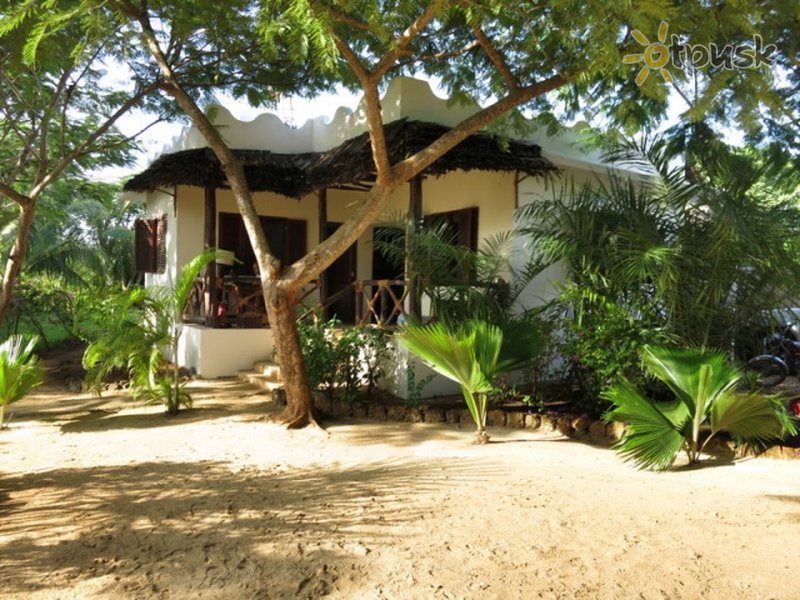 Фото отеля Milele Villas Zanzibar 3* Нунгви Танзания экстерьер и бассейны