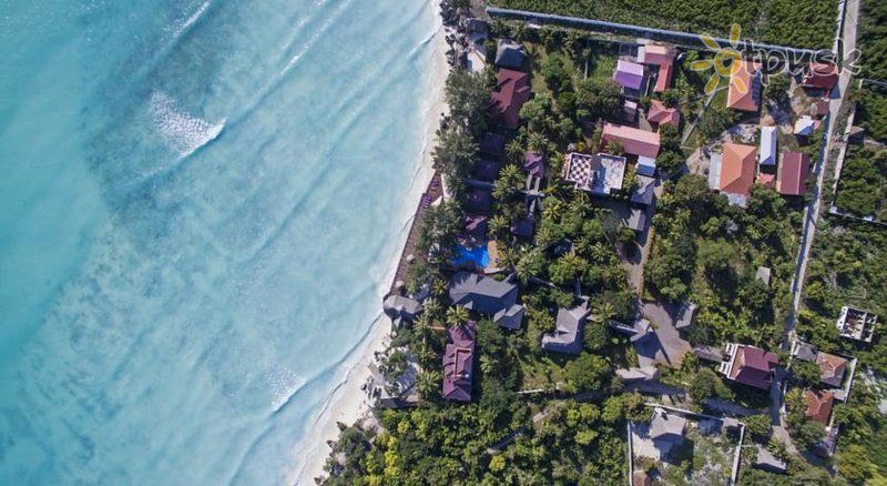Фото отеля Mnarani Beach Cottages 3* Нунгви Танзания прочее