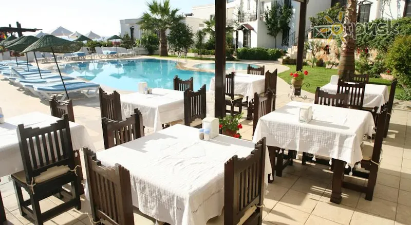 Фото отеля Sunny Garden Nilüfer Hotel 4* Бодрум Турция