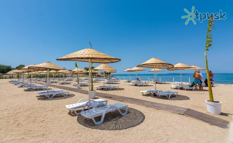 Фото отеля Apollonium Spa & Beach Resort 4* Didim Turkija papludimys