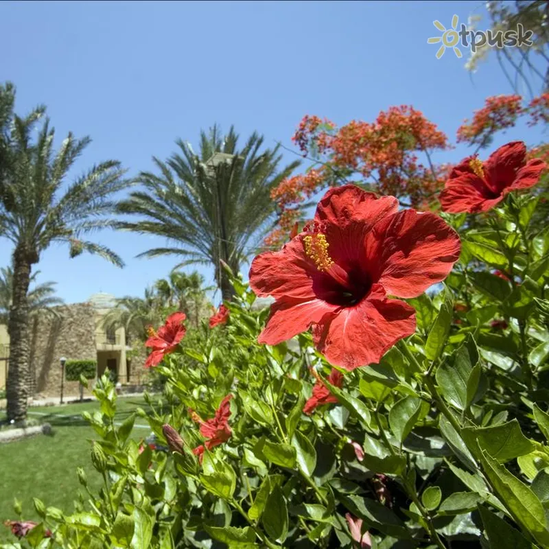 Фото отеля Jewels Sahara Boutique Resort 4* Хургада Єгипет екстер'єр та басейни