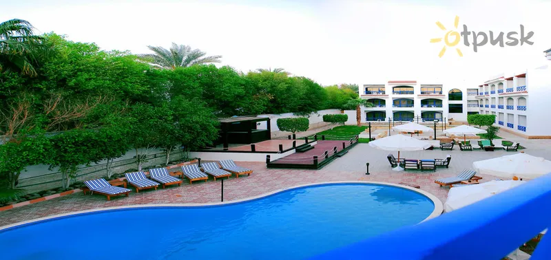 Фото отеля New La Perla Hotel 3* Шарм ель шейх Єгипет екстер'єр та басейни
