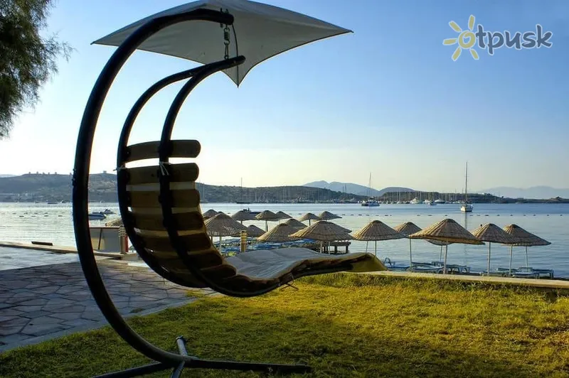 Фото отеля Ladonia Hotels Breeze Beach 4* Бодрум Туреччина екстер'єр та басейни