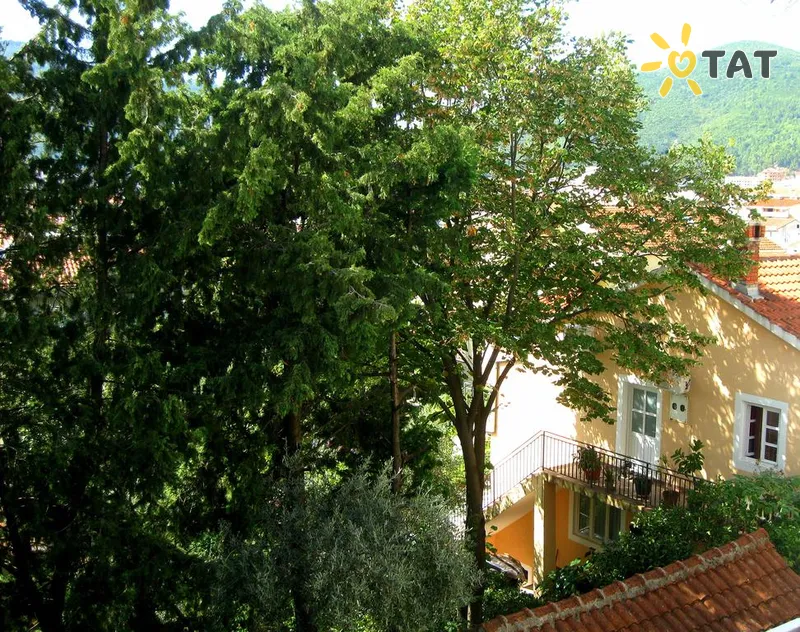 Фото отеля Seka Villa 3* Будва Чорногорія екстер'єр та басейни