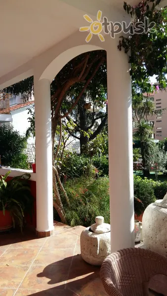 Фото отеля L Villa 3* Будва Черногория прочее