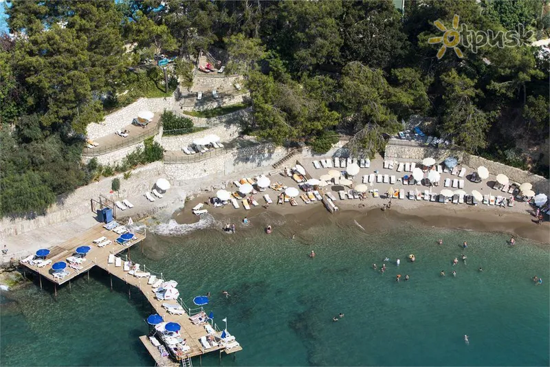Фото отеля Utopia Beach Club 5* Аланія Туреччина пляж