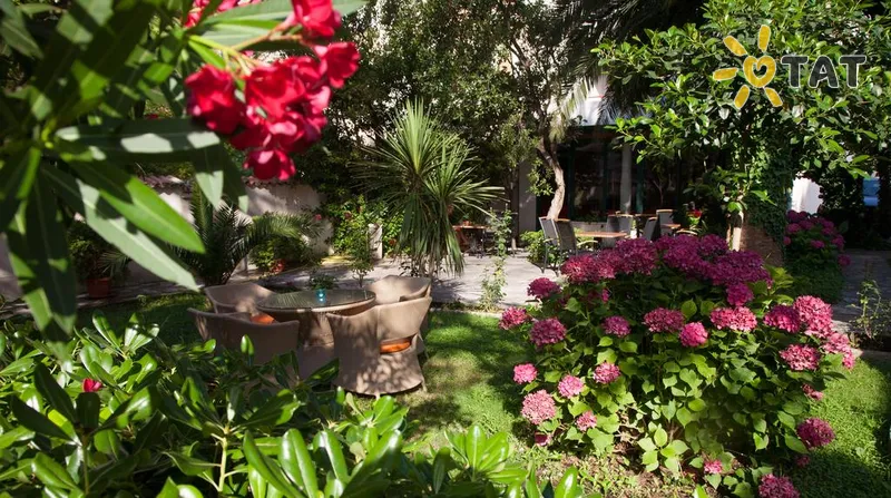 Фото отеля Giardino Apartments 3* Будва Чорногорія інше