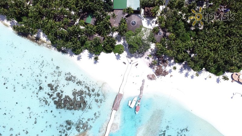 Фото отеля aaaVeee Natures Paradise 4* Даалу Атолл Мальдивы пляж