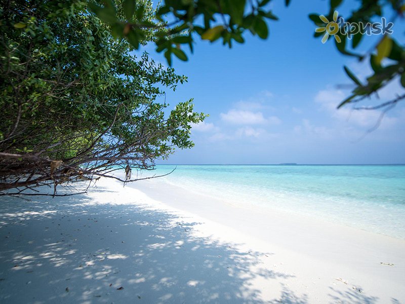 Фото отеля Furaveri Island Resort & Spa 5* Раа Атолл Мальдивы пляж
