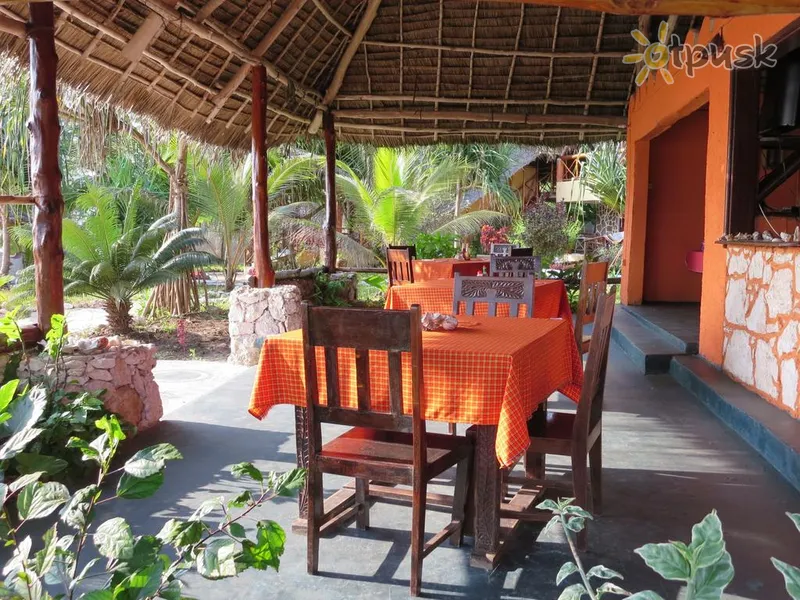 Фото отеля Queen of Sheba Beach Lodge 3* Pongwe Tanzānija bāri un restorāni