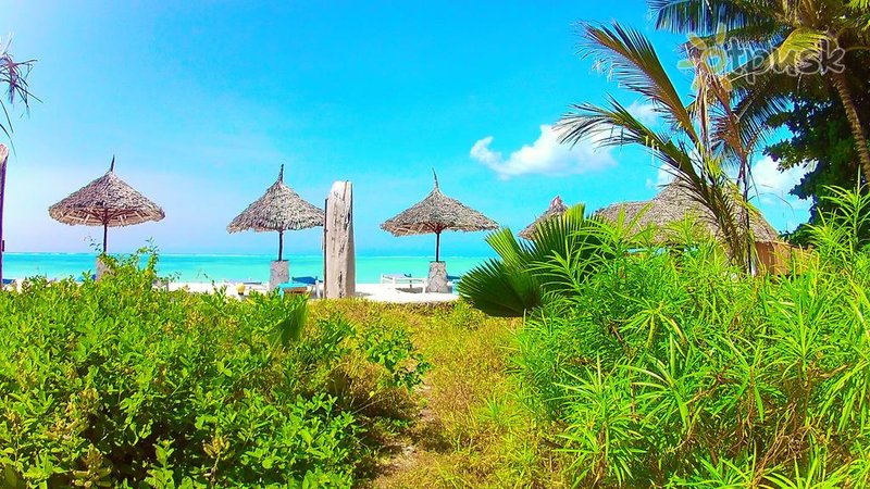 Фото отеля Waikiki Resort Zanzibar 3* Пвани Мчангани Танзания прочее