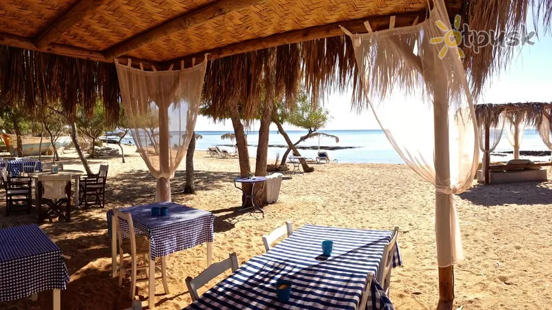 Фото отеля Thalassines Beach Villas 4* Айя Напа Кіпр бари та ресторани