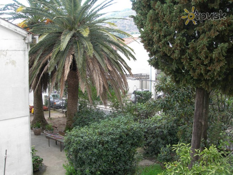 Фото отеля Franeta Villa 3* Будва Черногория прочее