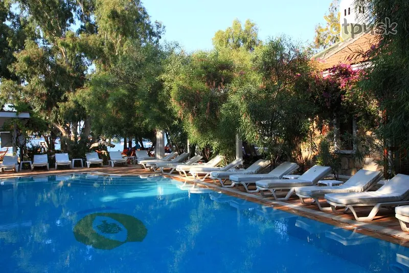 Фото отеля Okaliptus Hotel 4* Бодрум Туреччина екстер'єр та басейни
