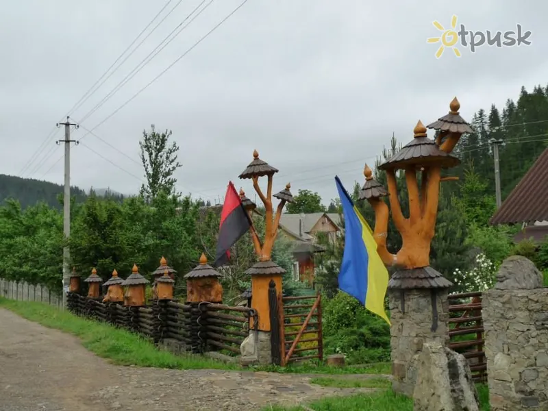 Фото отеля Анастасия 3* Татаров Украина - Карпаты экстерьер и бассейны