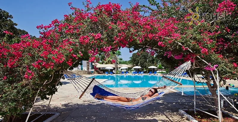 Фото отеля Merit Cyprus Gardens Holiday Village & Casino 4* Фамагуста Кіпр екстер'єр та басейни